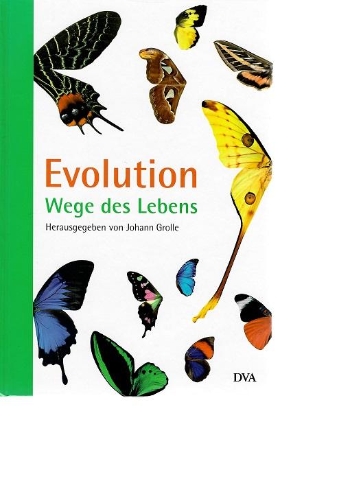 Grolle, Evolution.