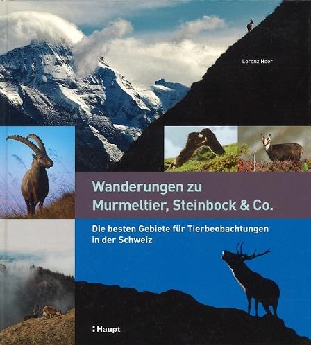 Heer, Wanderungen zu Murmeltier, Steinbock und Co.