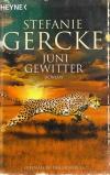 Gercke, Juni Gewitter (2).