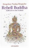 Rinpoche, Rebell Buddha